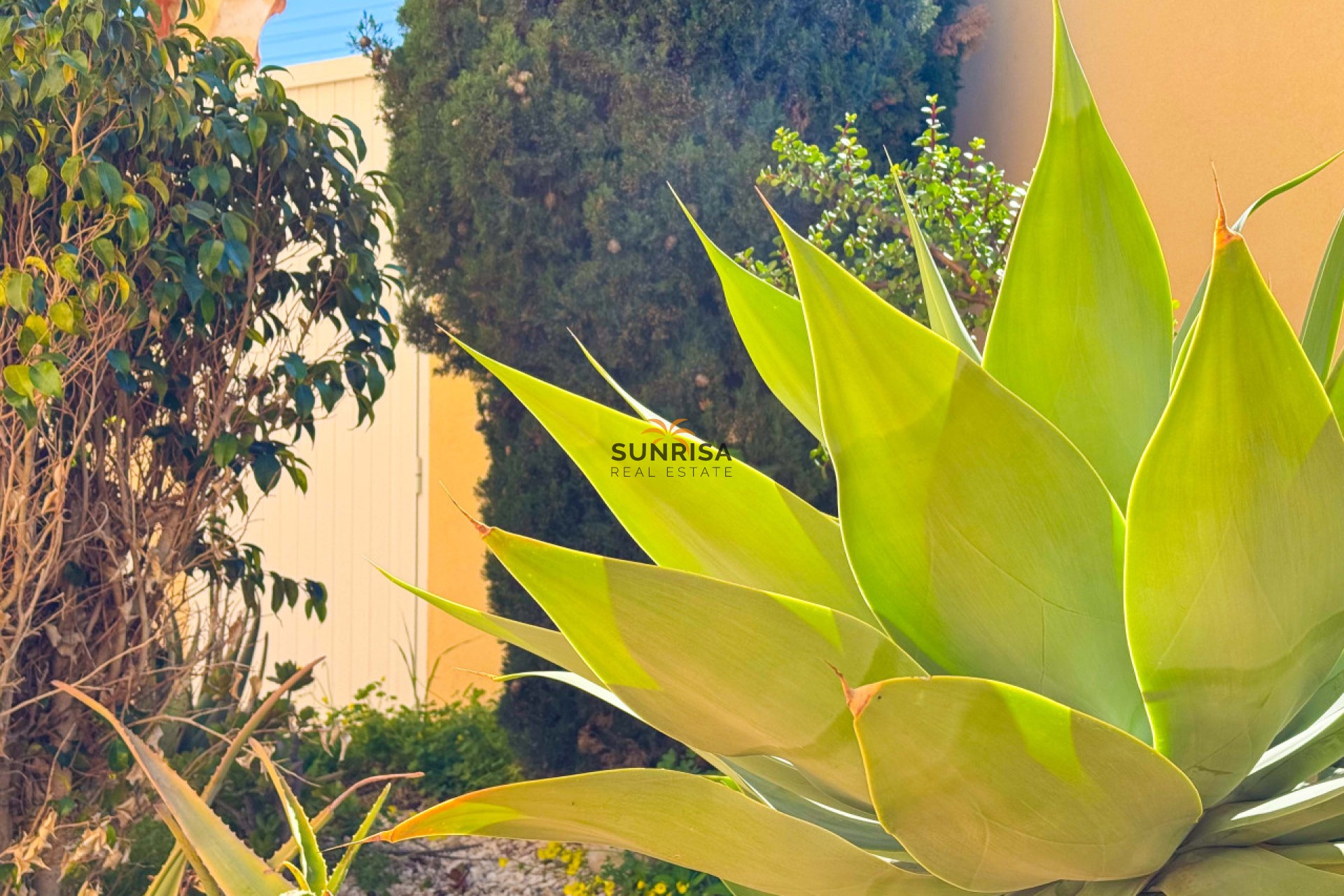 Resale - Villa - Torrevieja