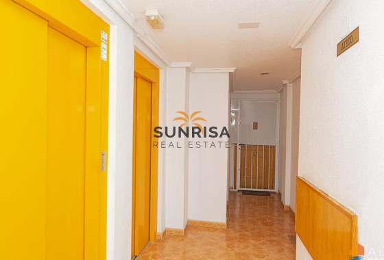 Apartamento · Reventa - Torrevieja · Centro · Alicante · España