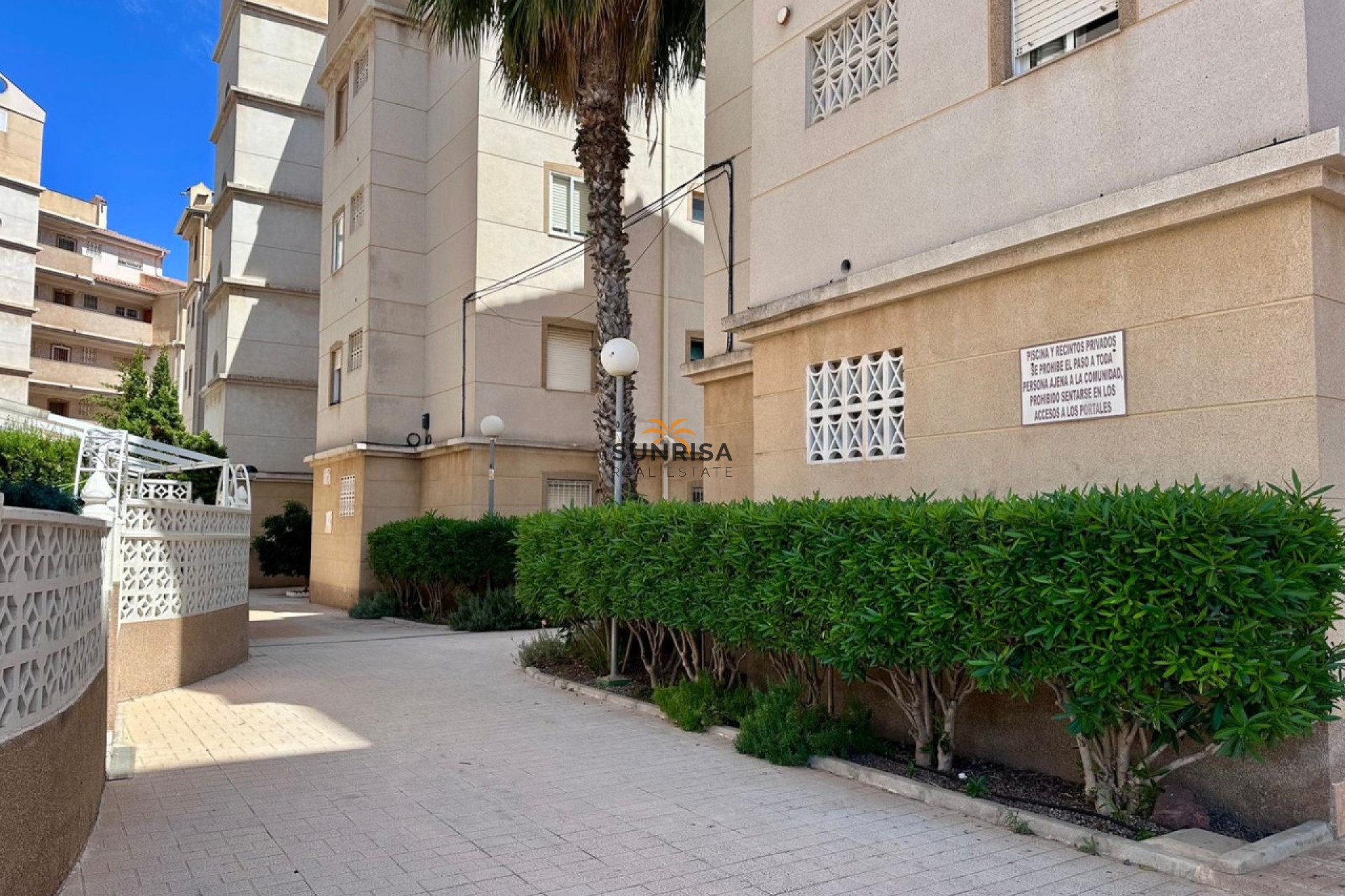 Reventa - Apartamento - Torrevieja