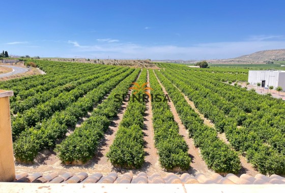 Appartement · Herverkoop - Algorfa · Alicante · Spanje