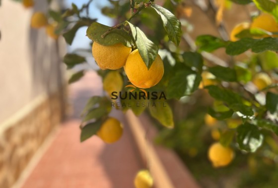 Villa · Reventa - Algorfa · Lomas de Juliana · Alicante · España