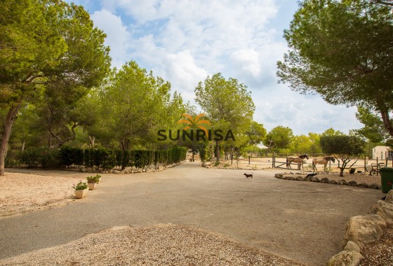 Finca · Revente - Torremendo · Alicante · Espagne
