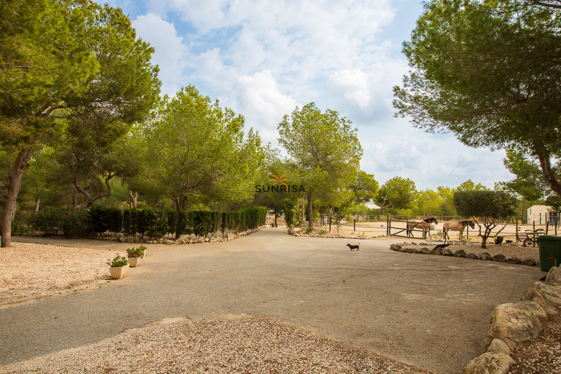 Reventa - Finca - Torremendo