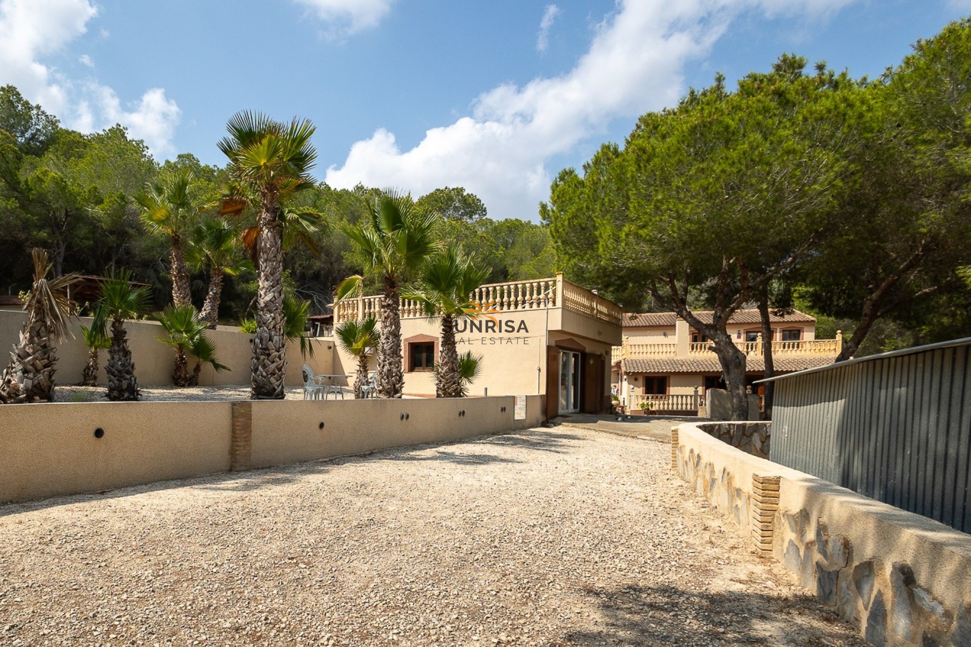 Reventa - Finca - Torremendo
