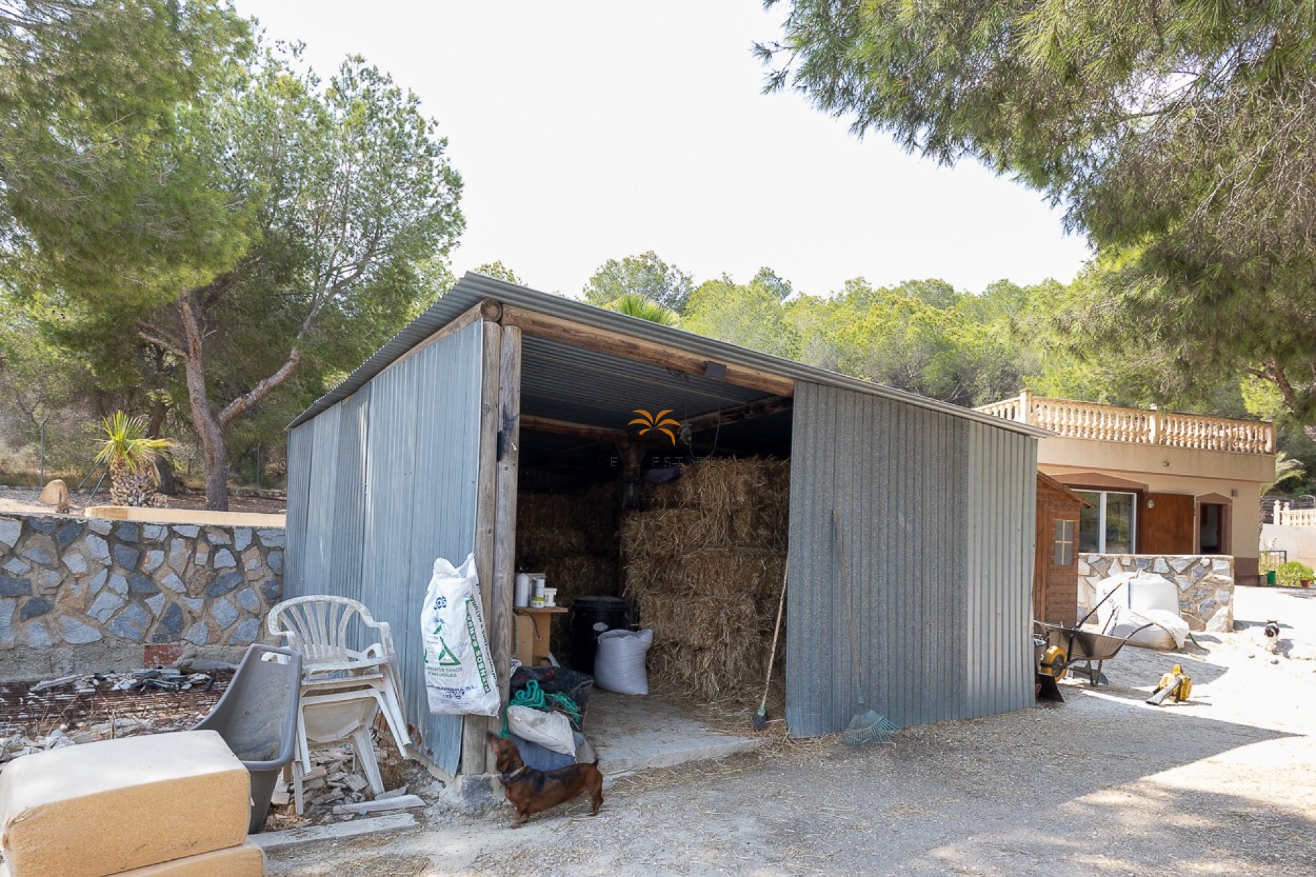 Reventa - Finca - Torremendo