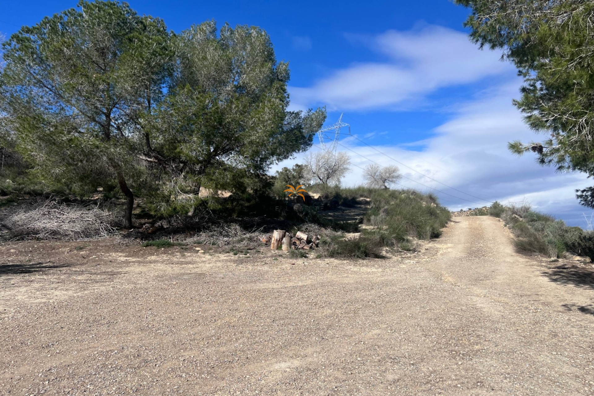 Resale - Finca - Torremendo