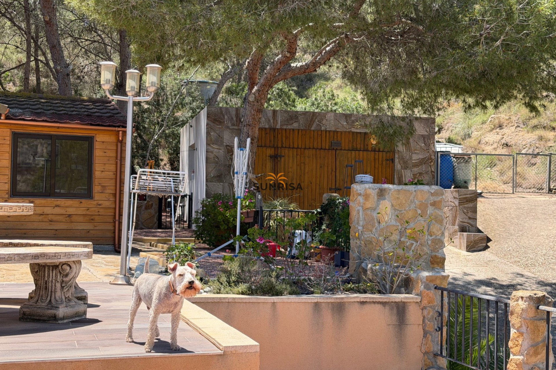 Herverkoop - Finca - Torremendo