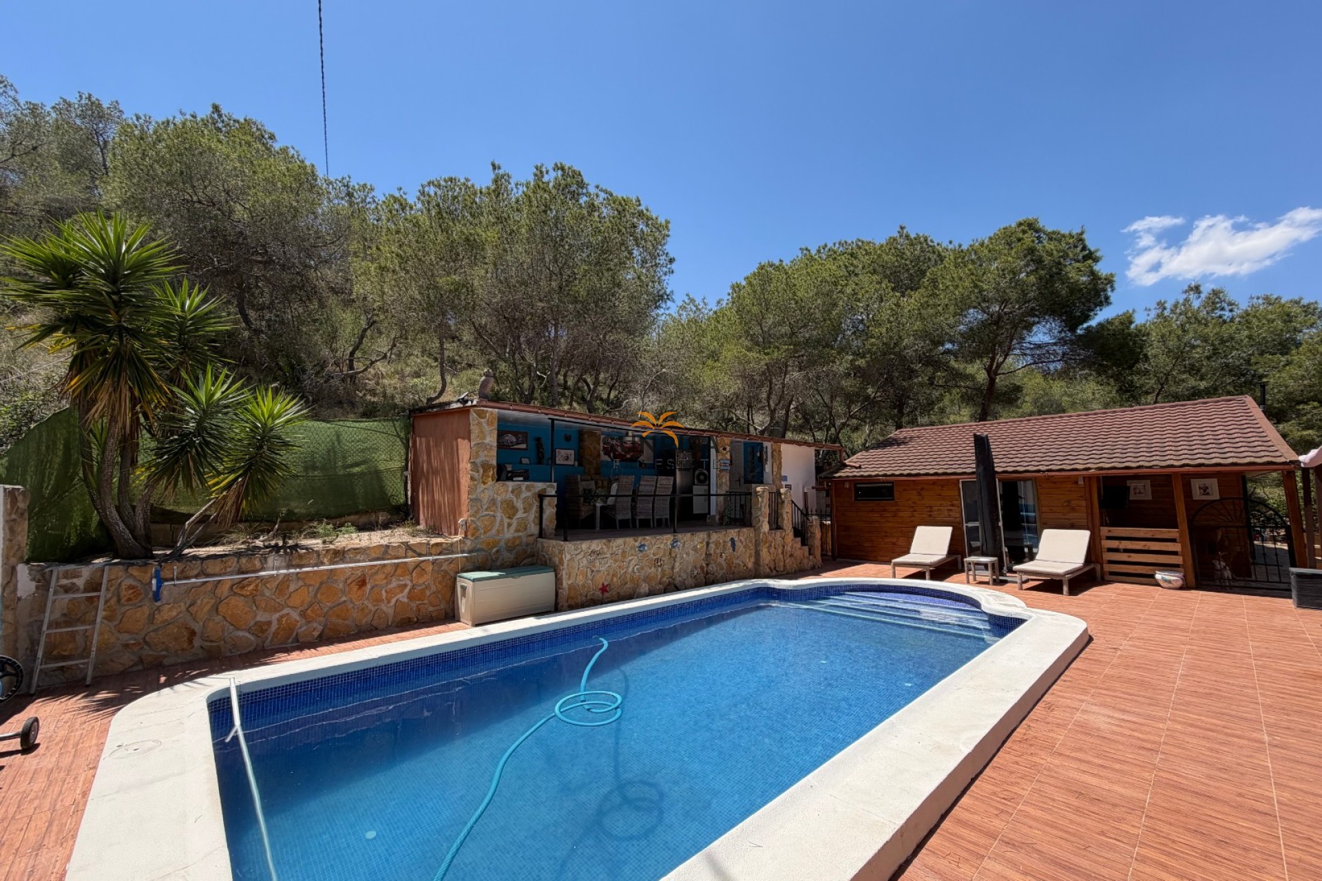 Herverkoop - Finca - Torremendo