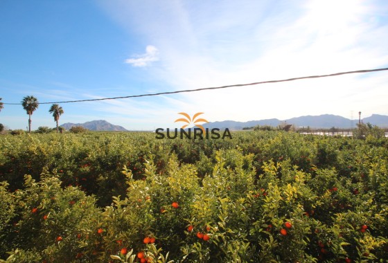 Finca · Herverkoop - Murcia · Spanje