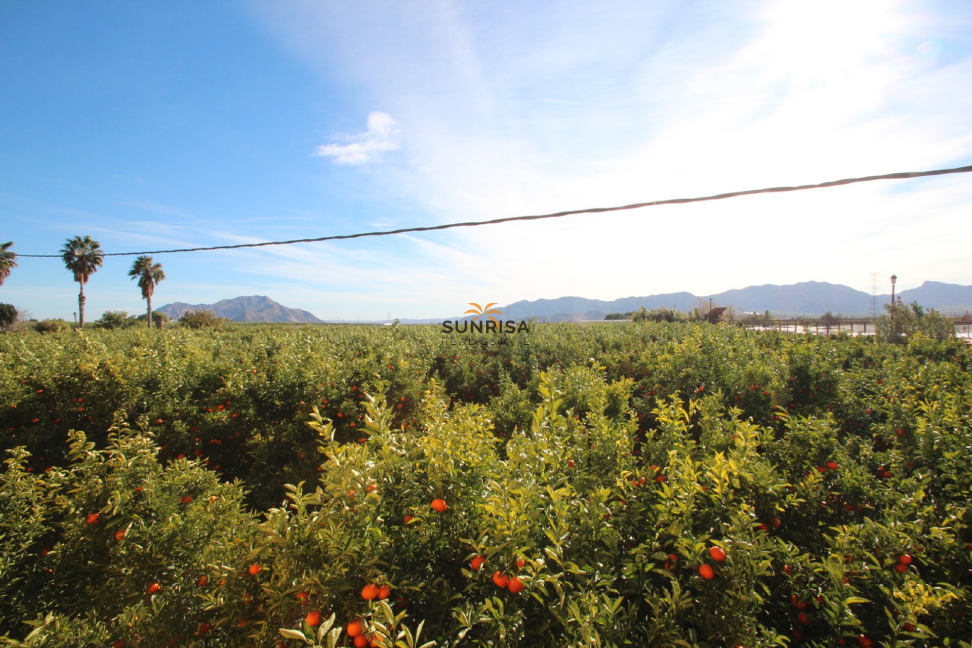Herverkoop - Finca - Murcia