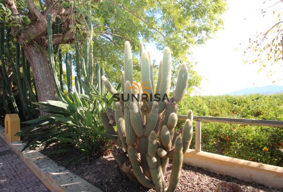 Finca · Herverkoop - Murcia · Spanje