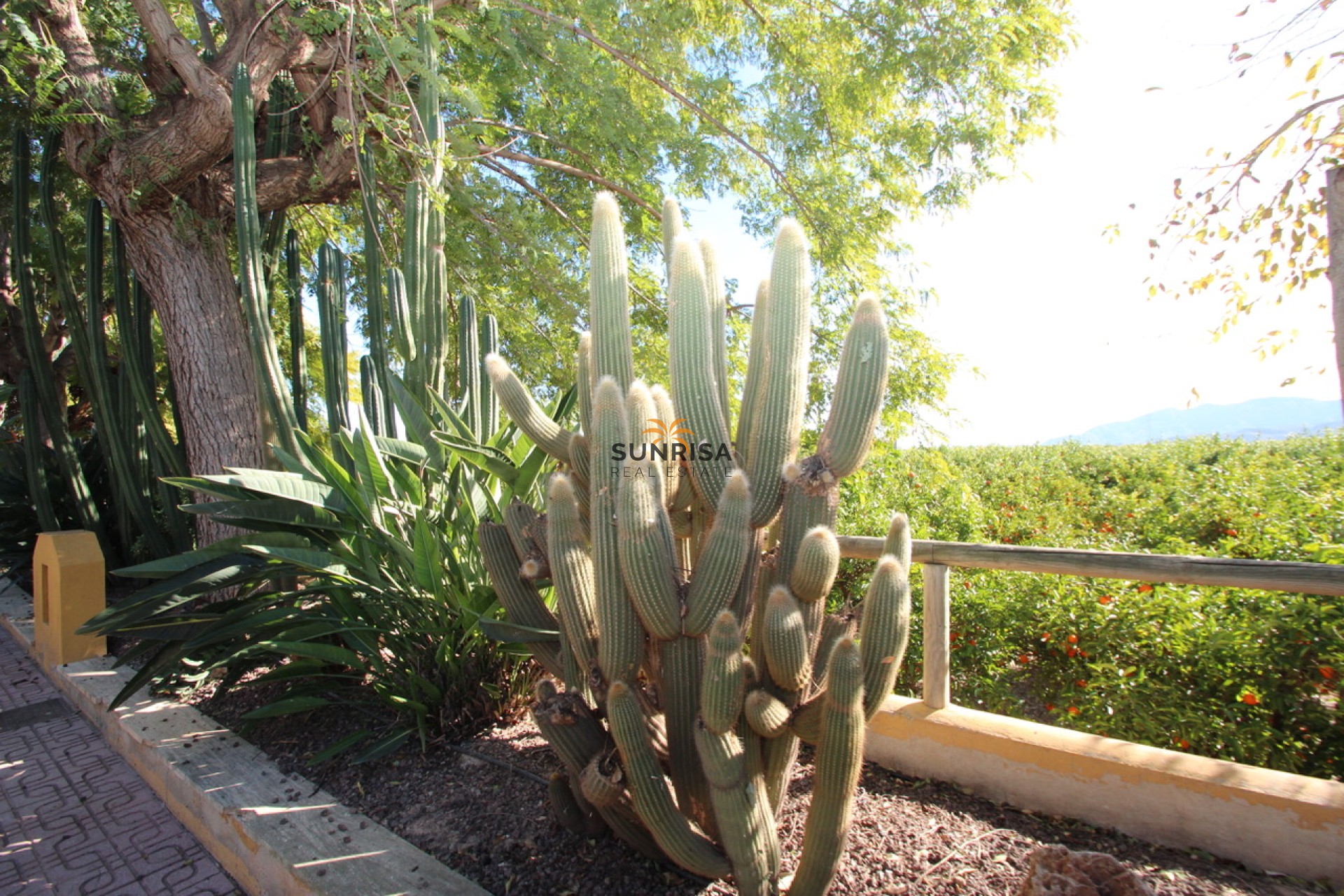 Herverkoop - Finca - Murcia