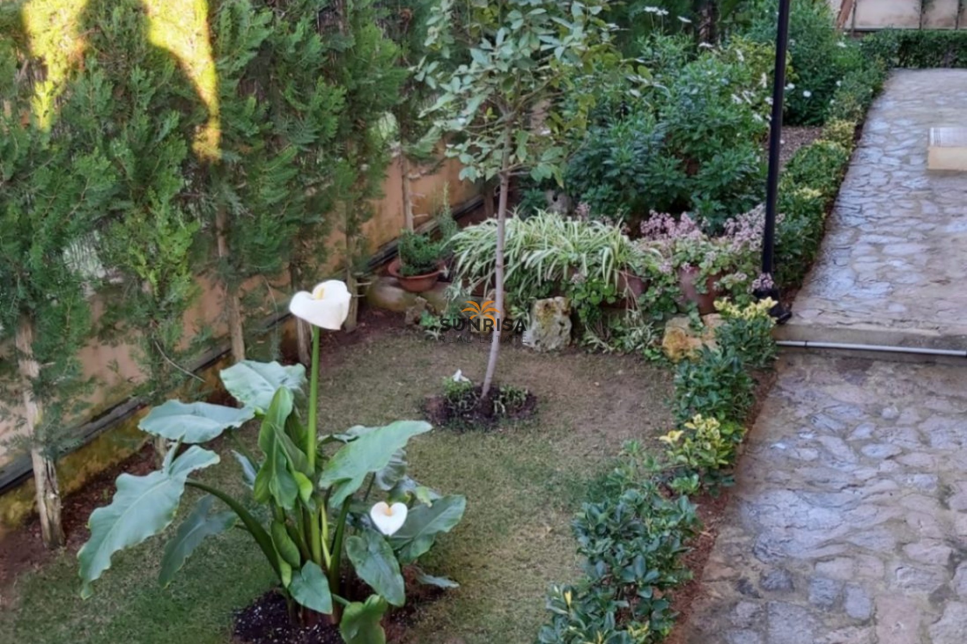 Resale - House - Palma