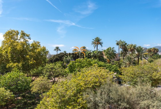 Apartment · Resale - Palma · Mallorca · Spain