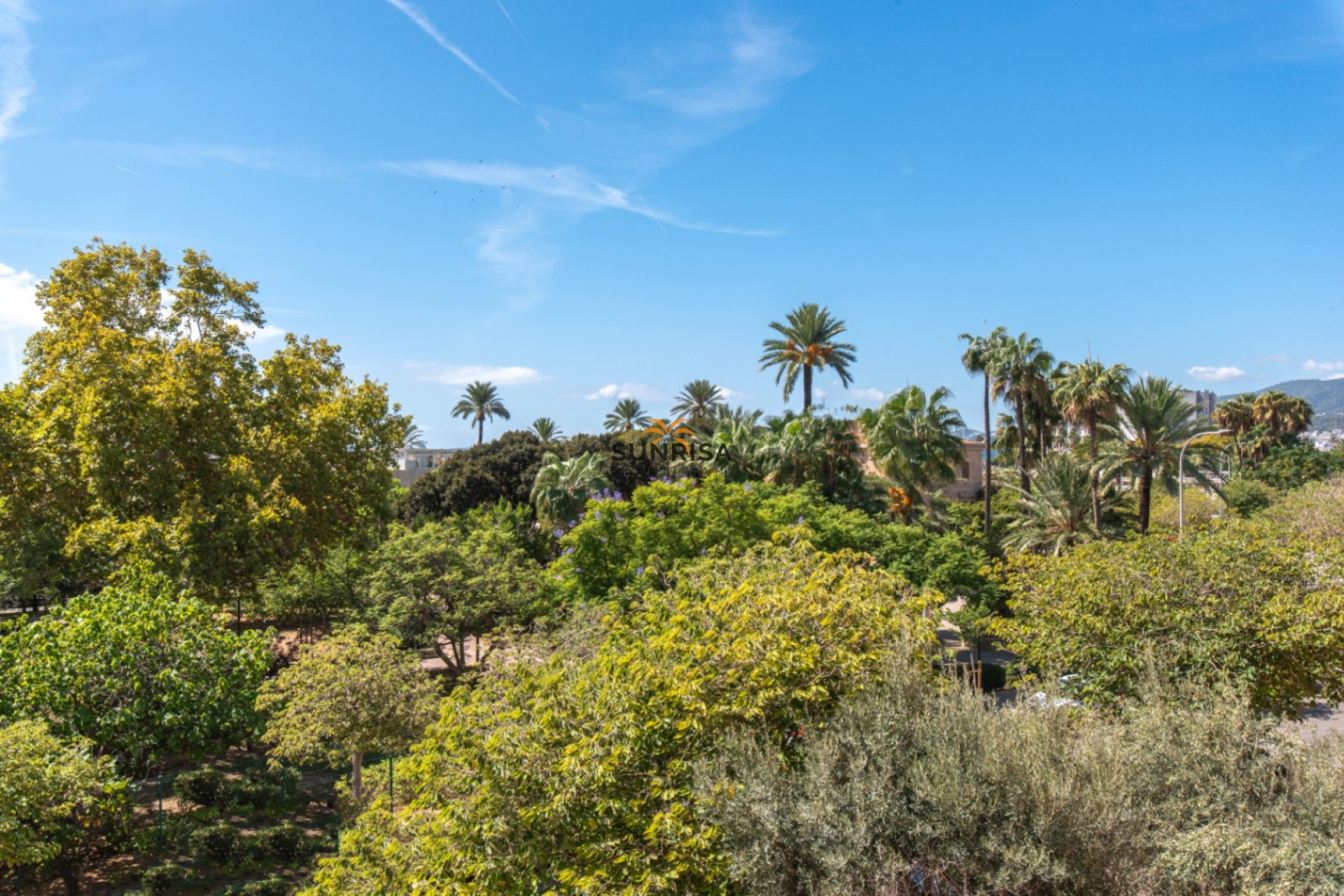 Resale - Apartment - Palma
