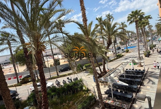 Appartement · Revente - Torrevieja · Alicante · Espagne