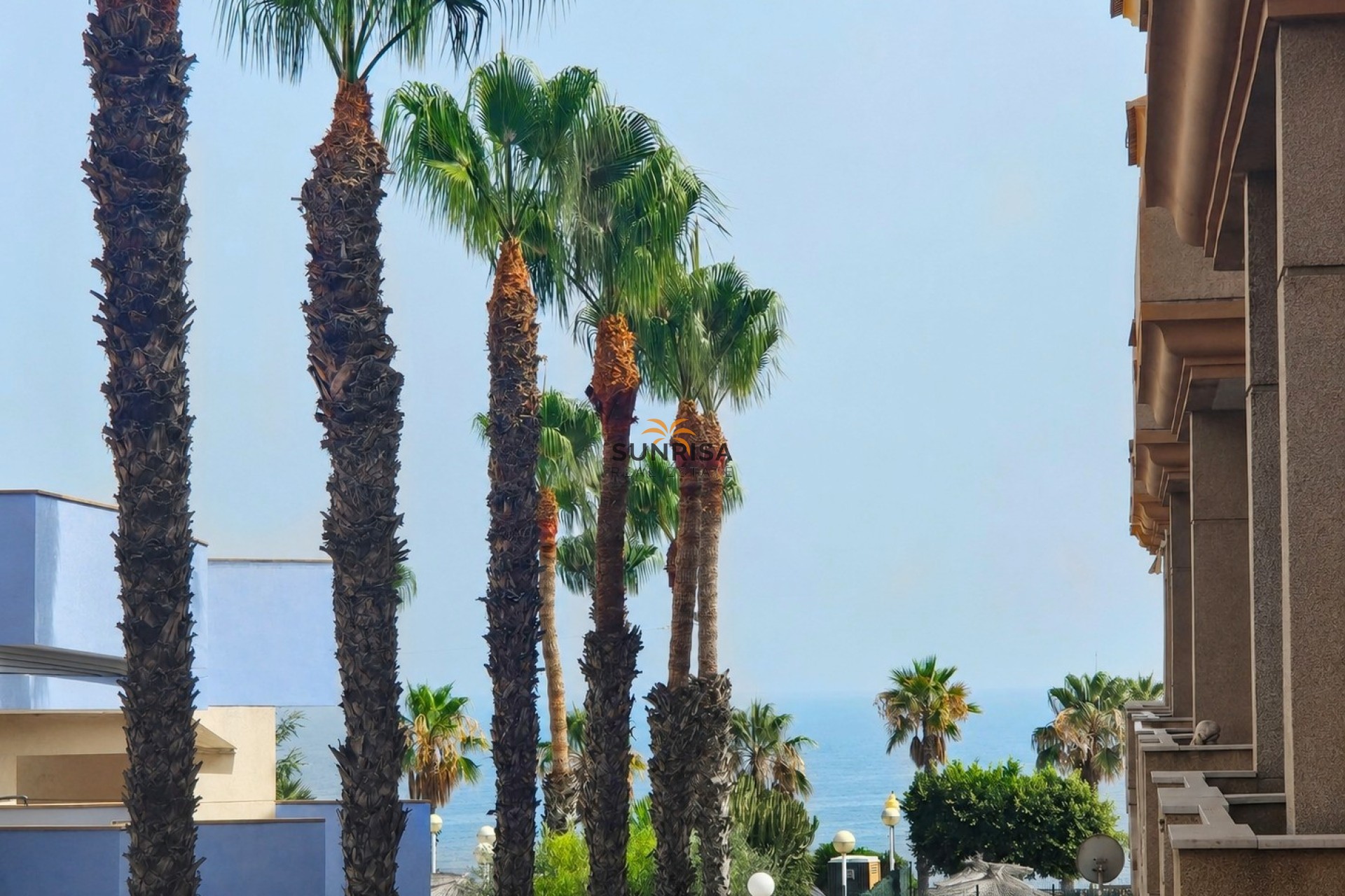 Reventa - Apartamento - Cabo Roig