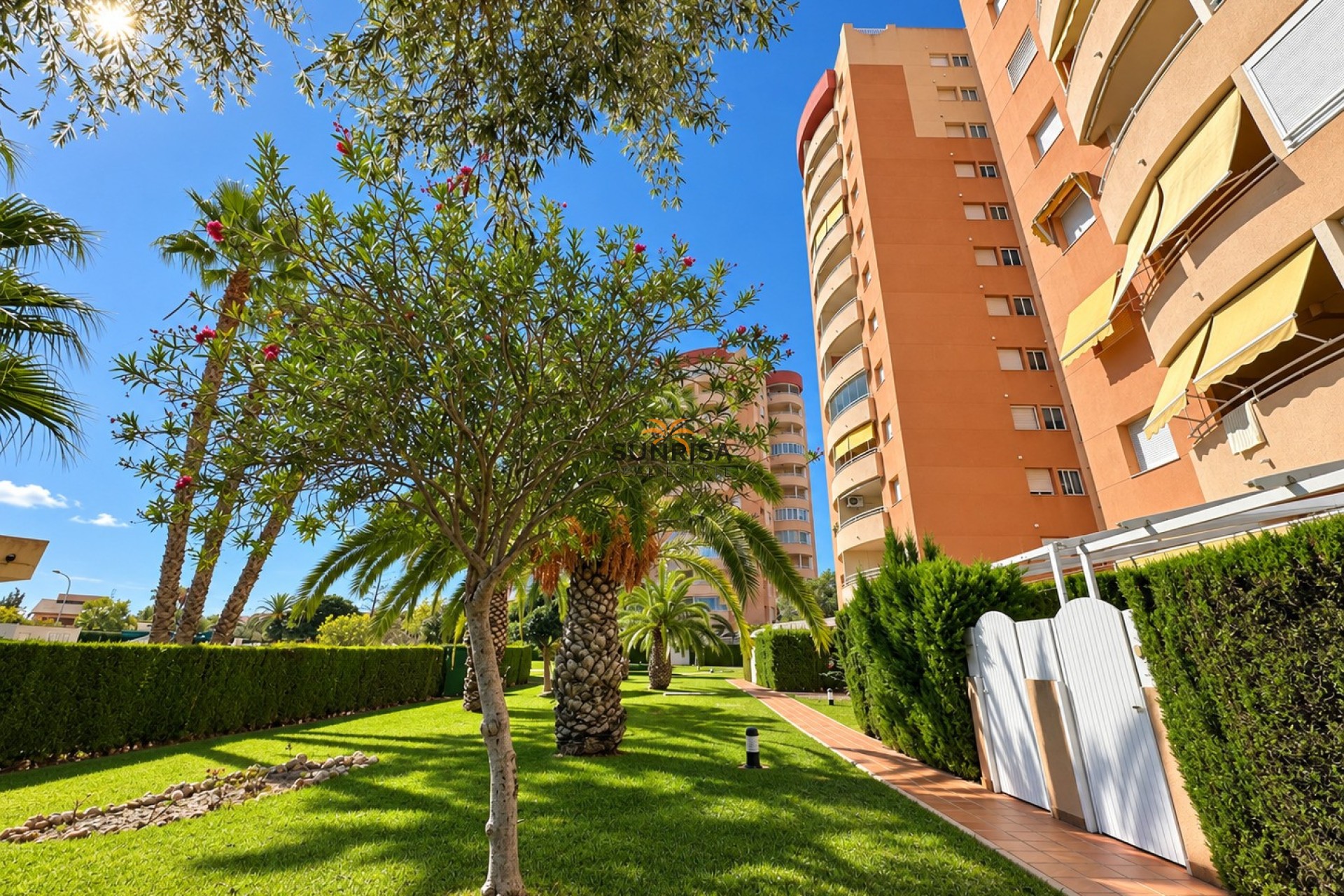 Herverkoop - Appartement - Orihuela Costa