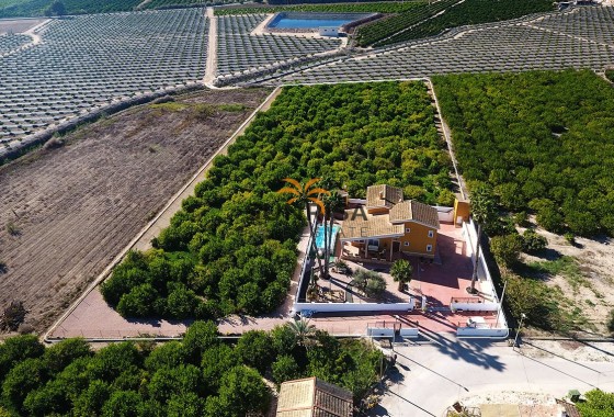 Finca · Revente - Orihuela · Alicante · Espagne