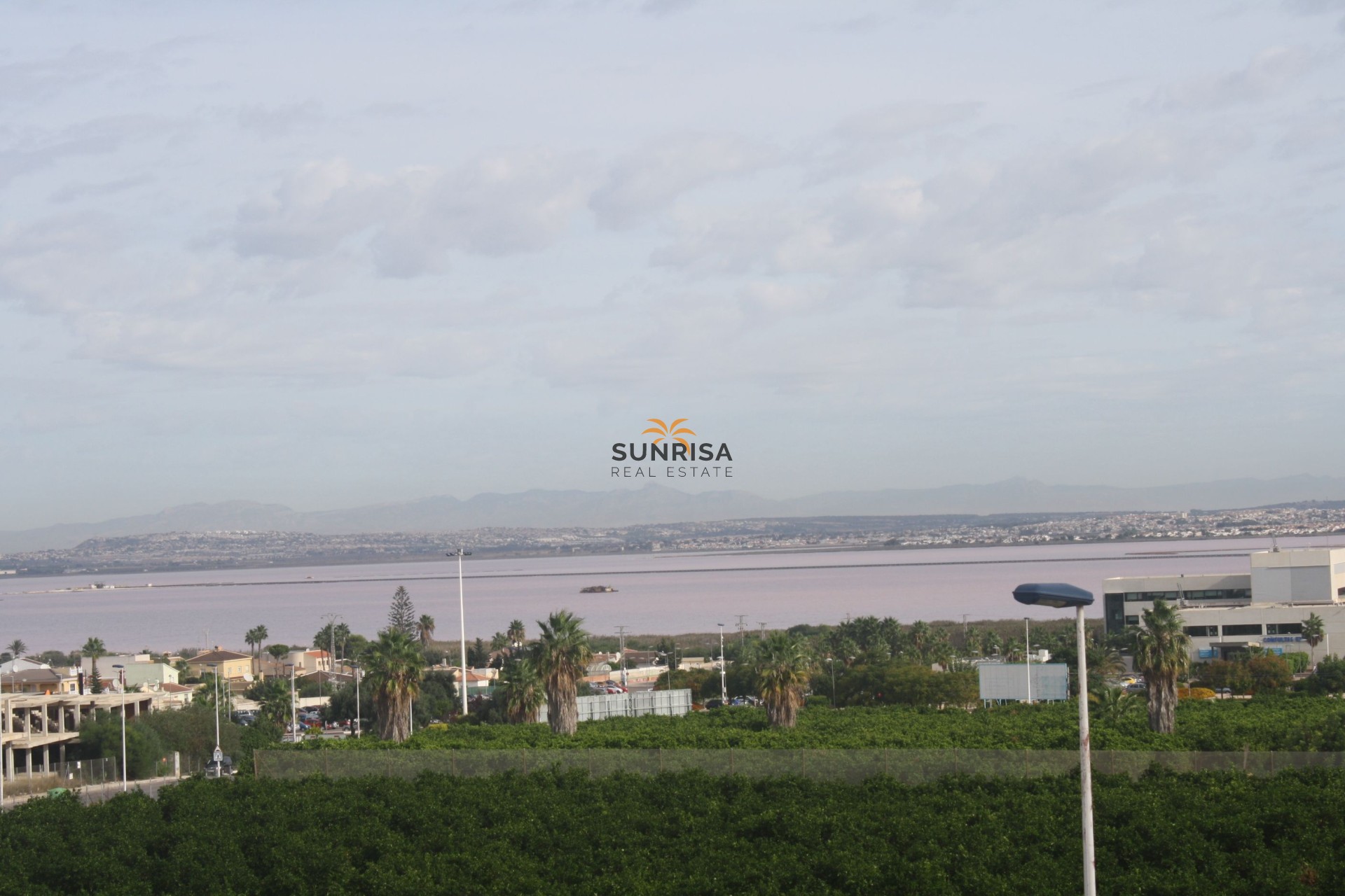 Obra nueva - Pareado - Torrevieja