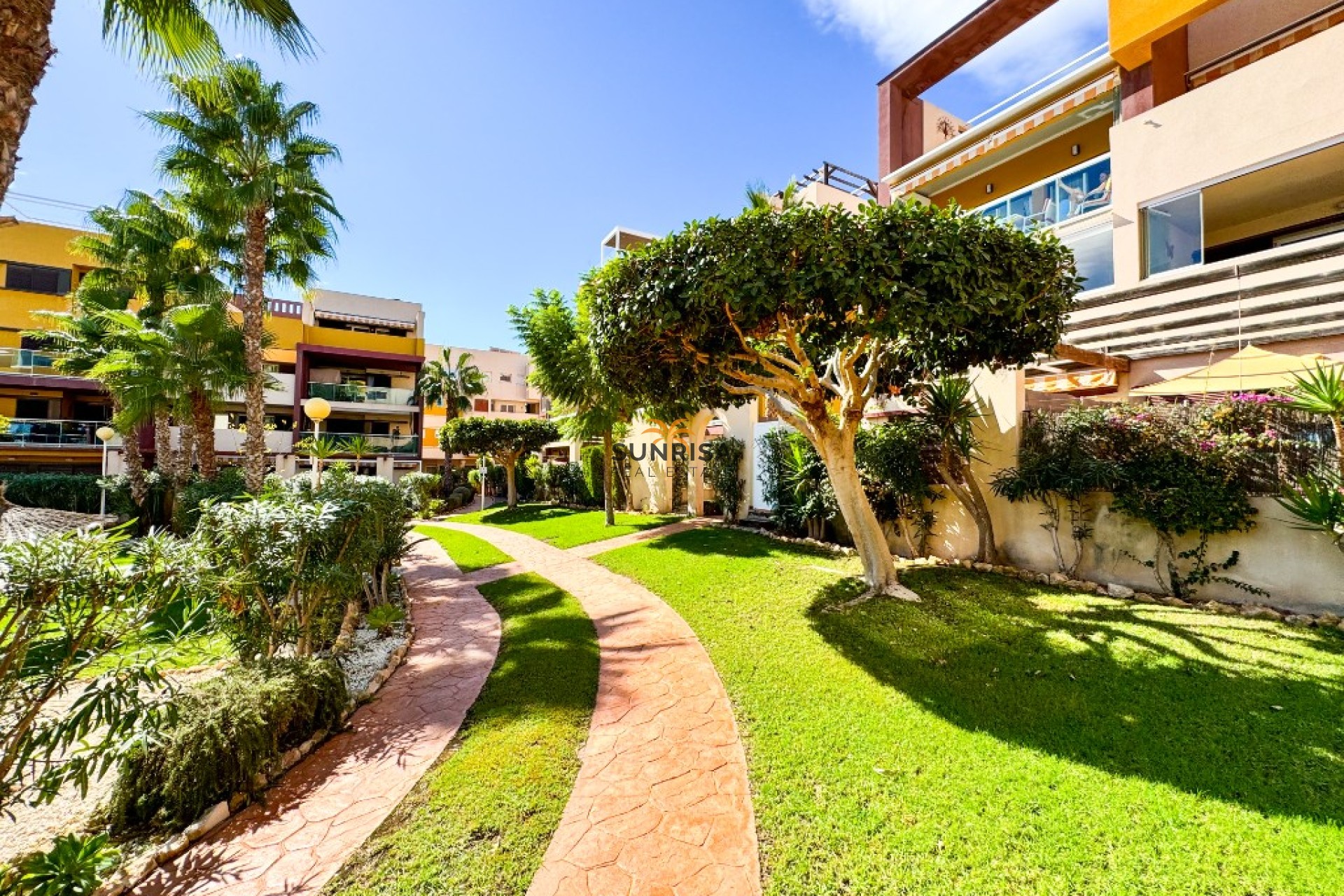 Herverkoop - Appartement - Orihuela Costa