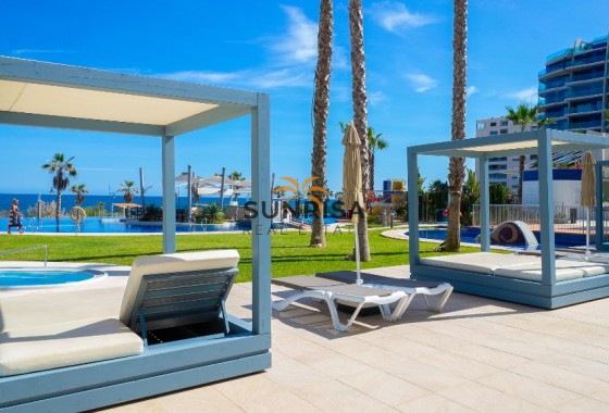 Apartment · Resale - Punta Prima · Alicante · Spain