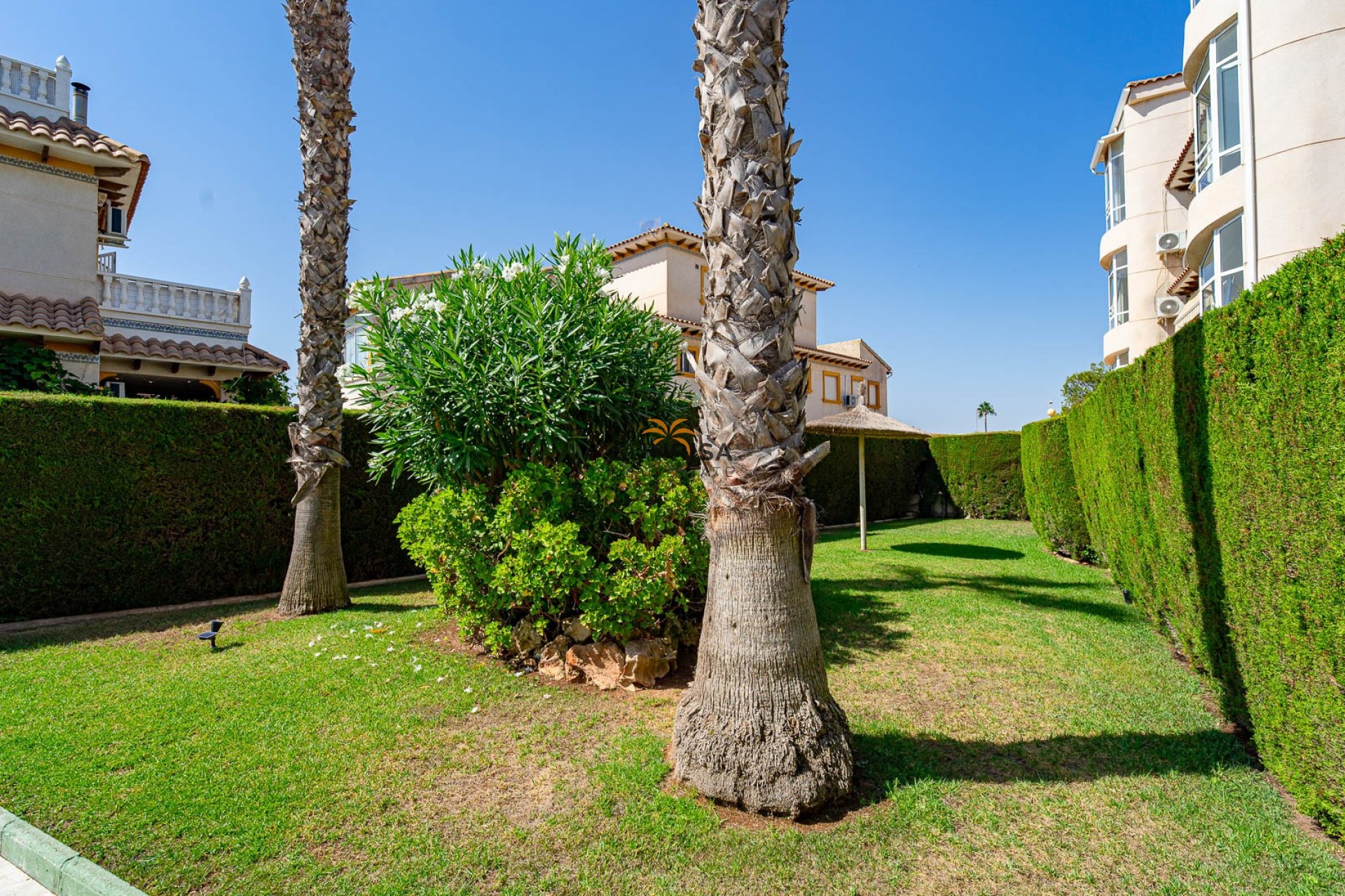 Herverkoop - Appartement - Punta Prima