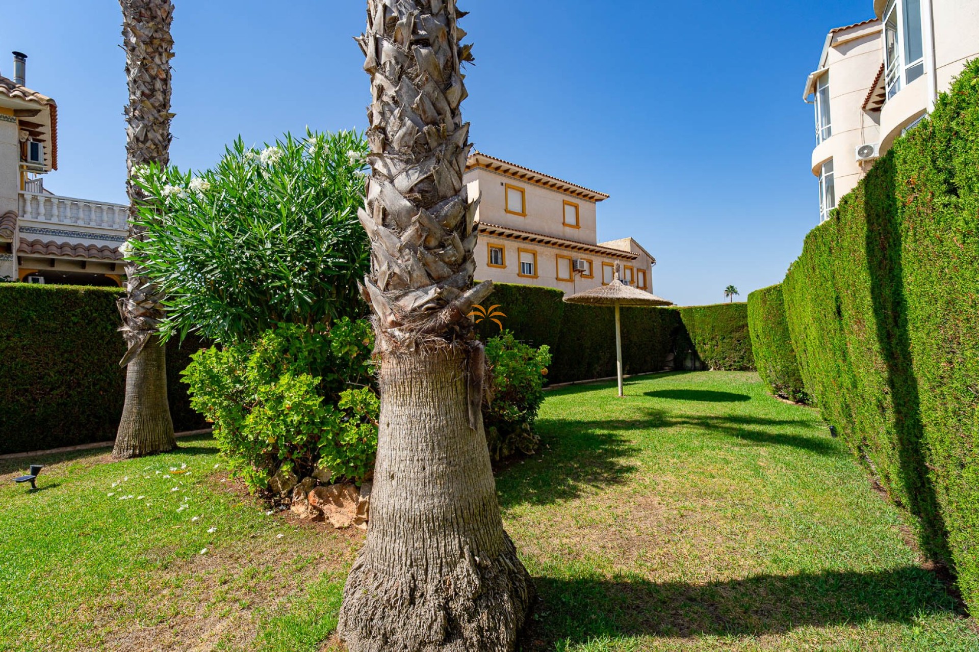 Herverkoop - Appartement - Punta Prima