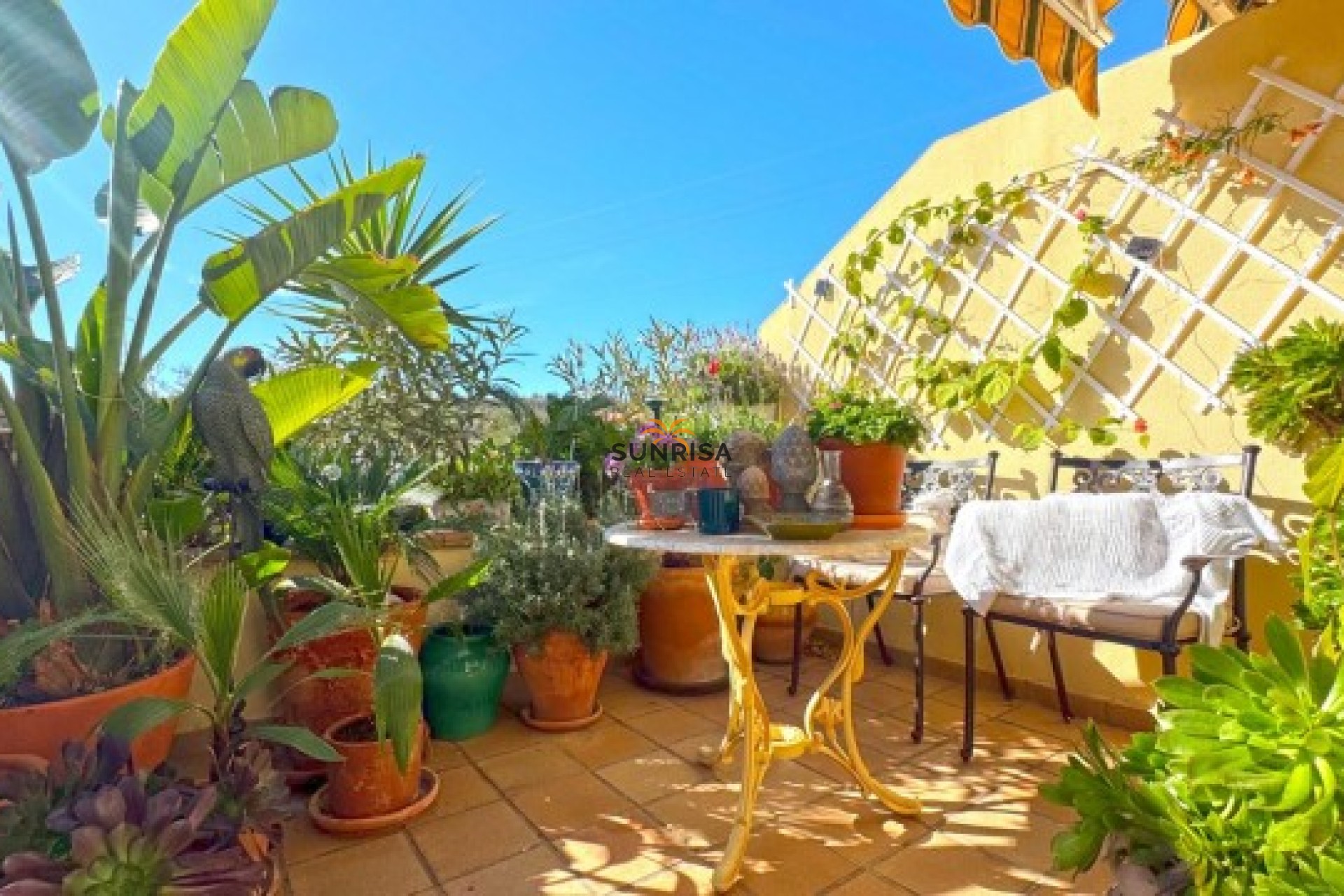 Resale - Semi-detached house - Campoamor