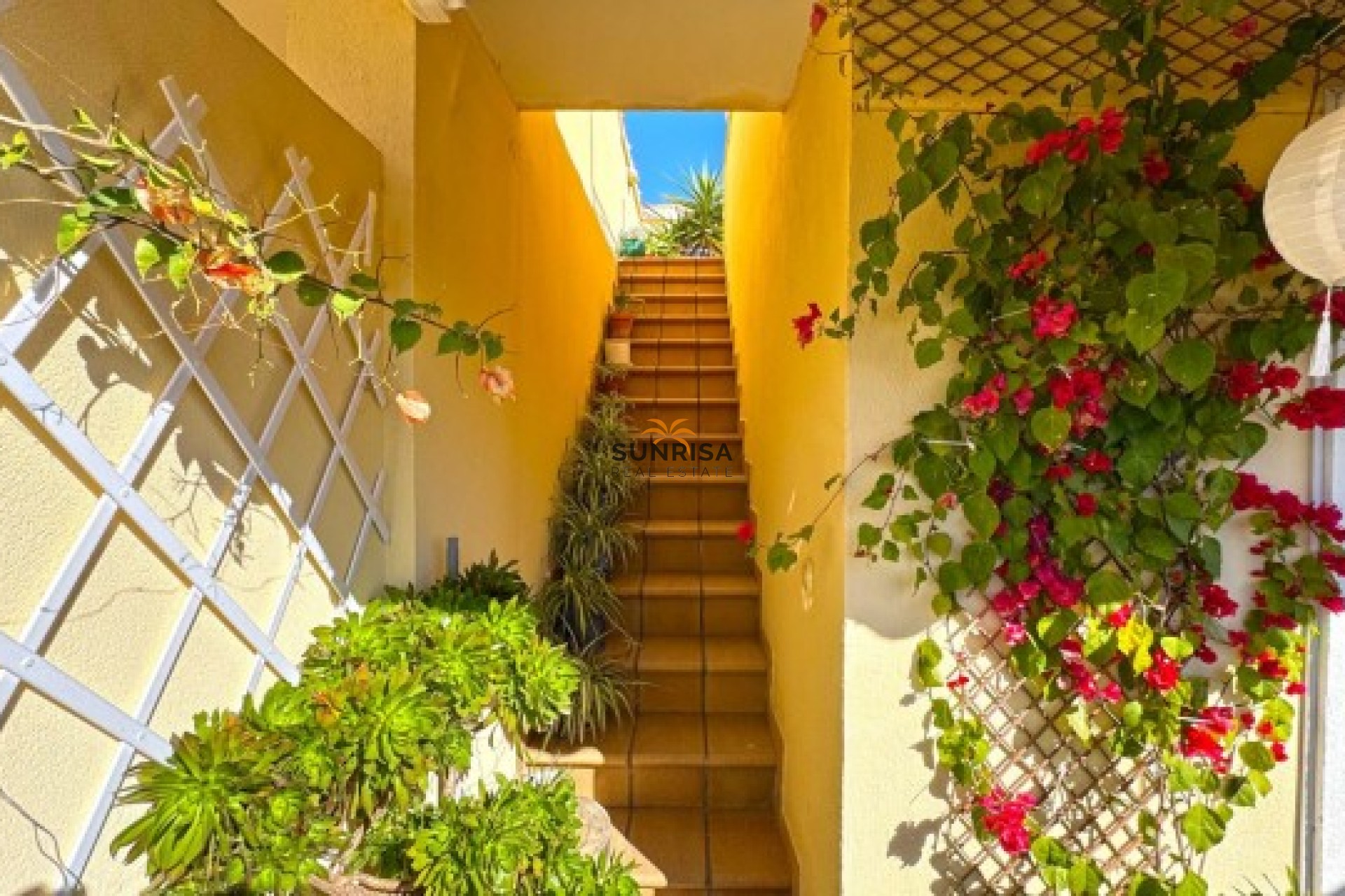 Resale - Semi-detached house - Campoamor