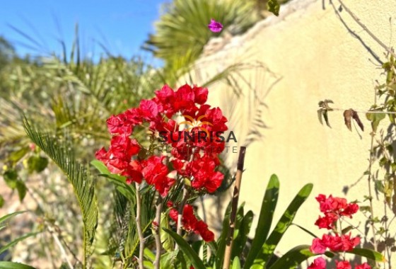 Semi-detached house · Resale - Campoamor · Campoamor Golf · Alicante · Spain