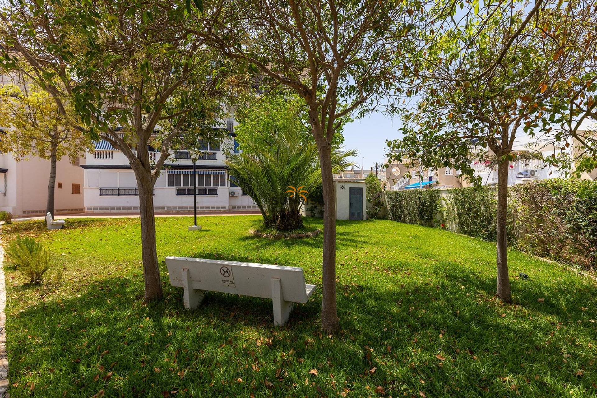 Herverkoop - Bungalow - Torrevieja
