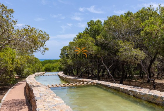 Bungalow · Herverkoop - Torrevieja · La Mata · Alicante · Spanje