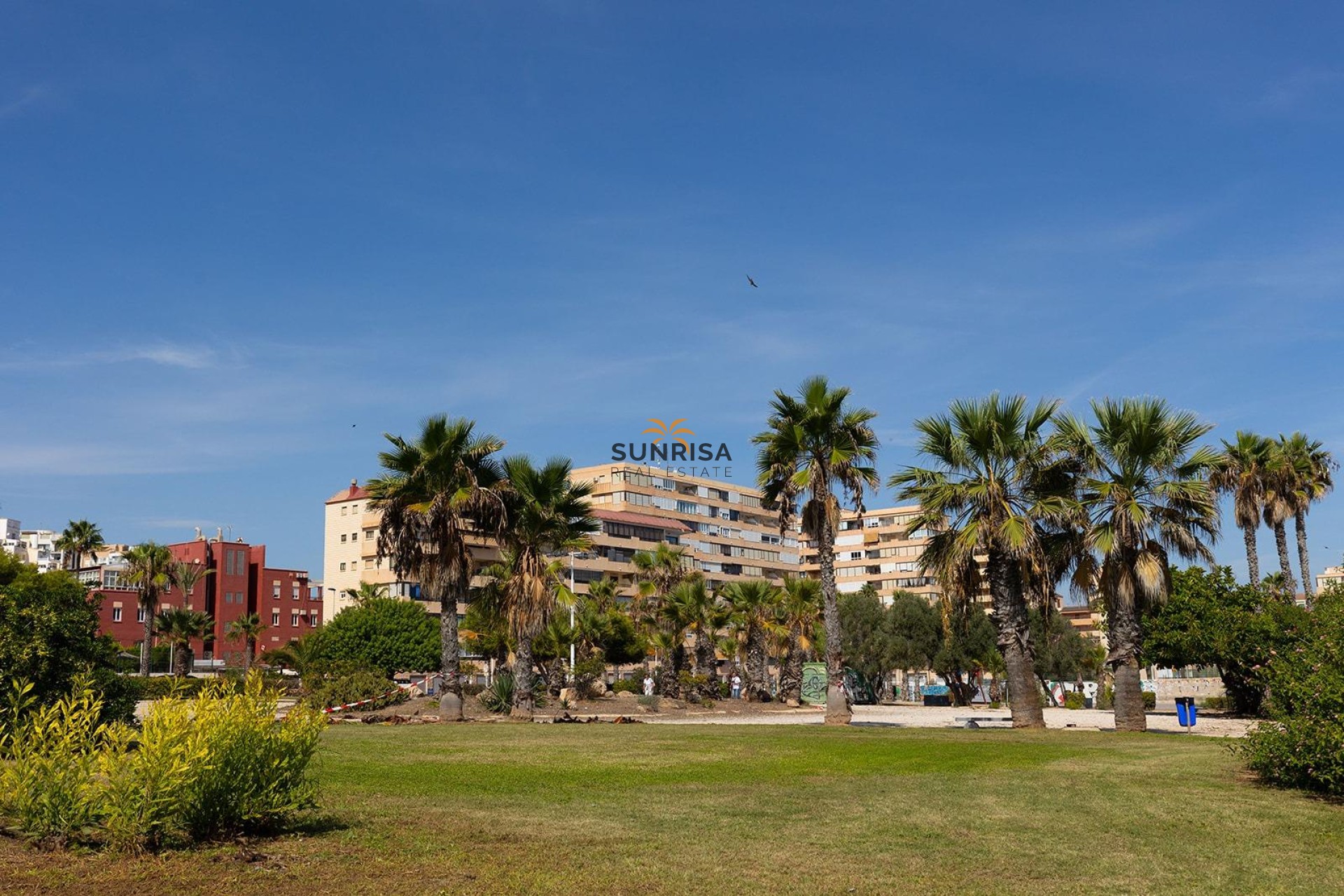 Reventa - Apartamento - Torrevieja