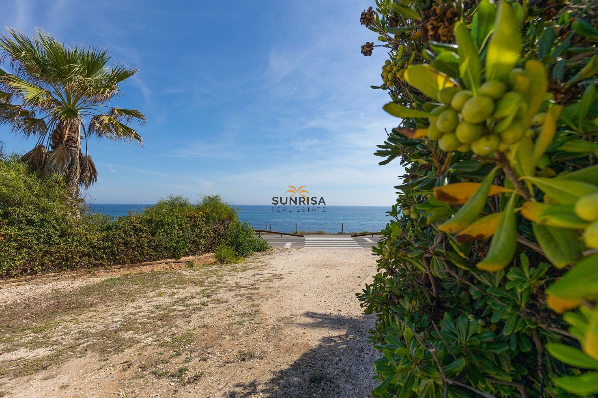 Reventa - Apartamento - Torrevieja