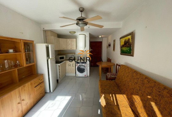 Estudio · Reventa - Torrevieja · Centro · Alicante · España