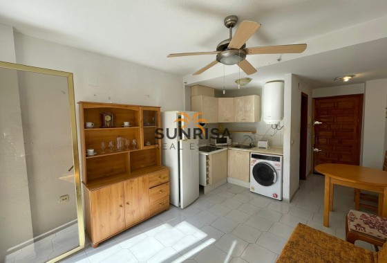 Estudio · Reventa - Torrevieja · Centro · Alicante · España