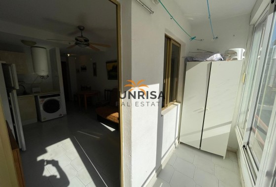Estudio · Reventa - Torrevieja · Centro · Alicante · España