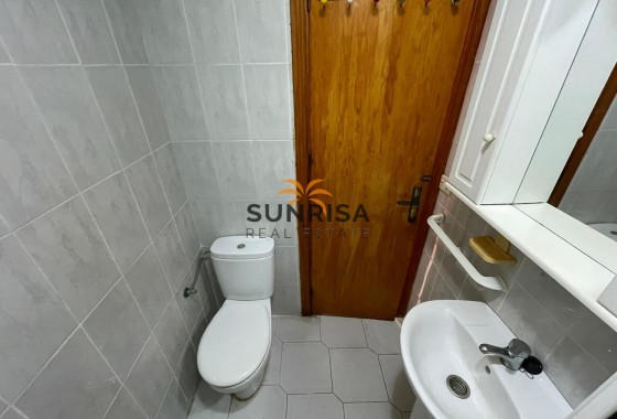 Estudio · Reventa - Torrevieja · Centro · Alicante · España