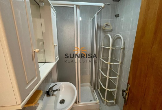 Estudio · Reventa - Torrevieja · Centro · Alicante · España