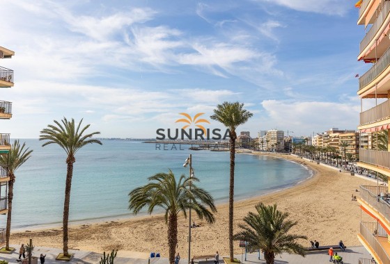 Attique · Revente - Torrevieja · Estacion de autobuses · Alicante · Espagne