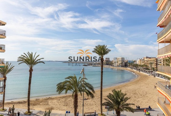 Attique · Revente - Torrevieja · Estacion de autobuses · Alicante · Espagne
