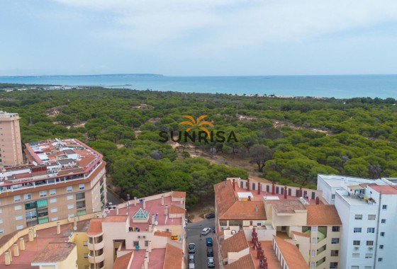 Apartamento · Reventa - Guardamar del Segura · Guardamar Centro · Alicante · España