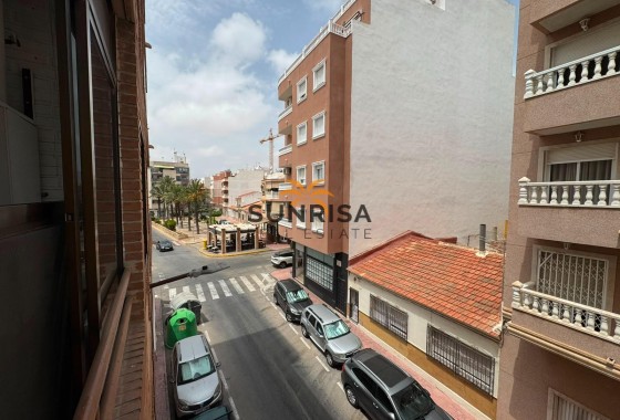 Estudio · Reventa - Torrevieja · Centro · Alicante · España