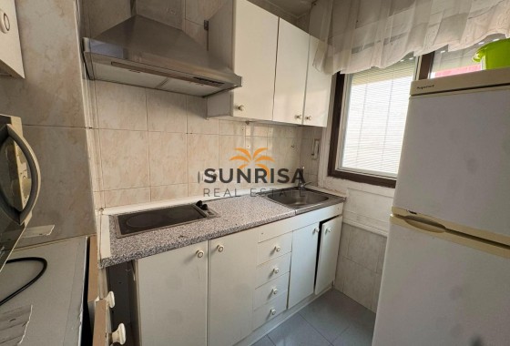Estudio · Reventa - Torrevieja · Centro · Alicante · España