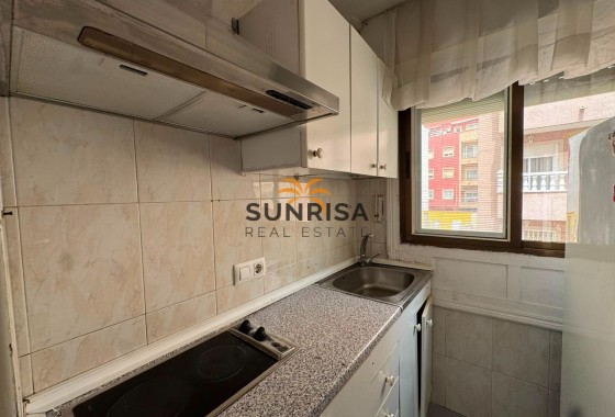 Estudio · Reventa - Torrevieja · Centro · Alicante · España