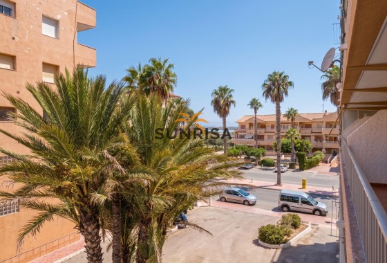 Studio · Herverkoop - Guardamar del Segura · Lomas de Polo-Pinomar · Alicante · Spanje