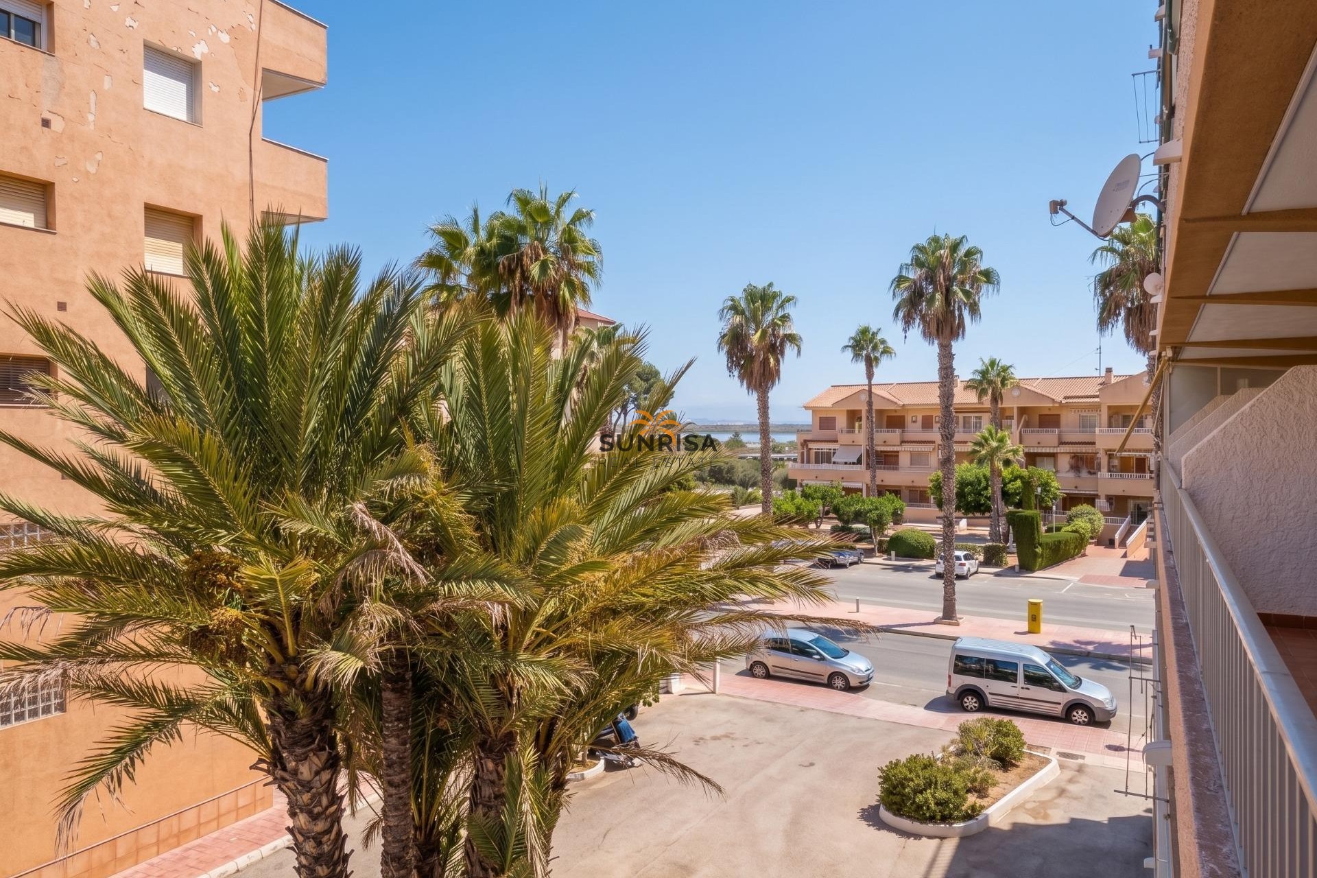 Reventa - Estudio - Guardamar del Segura