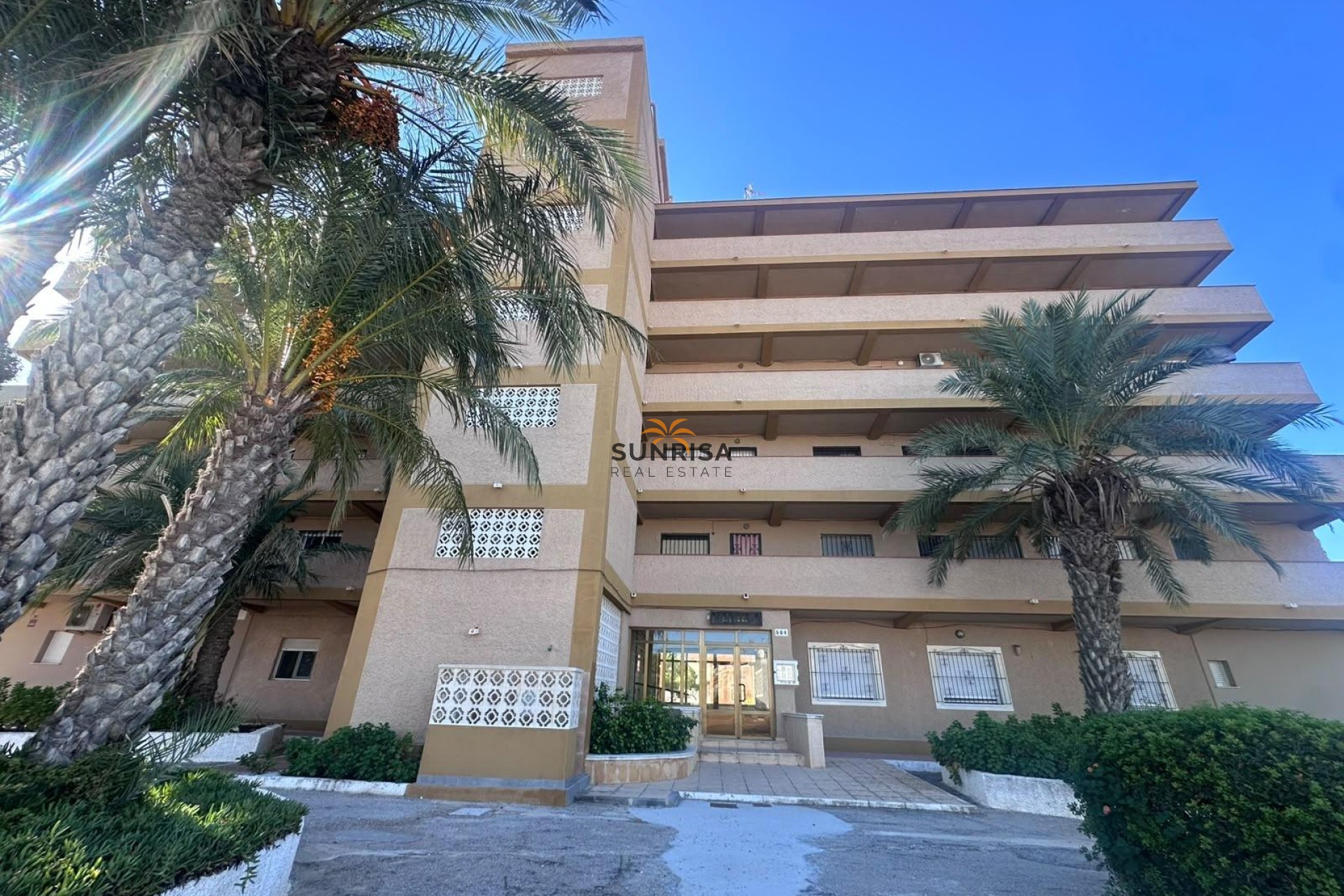 Reventa - Estudio - Guardamar del Segura