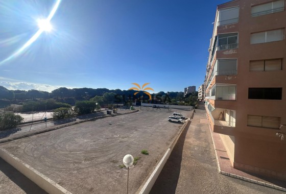 Studio · Herverkoop - Guardamar del Segura · Lomas de Polo-Pinomar · Alicante · Spanje